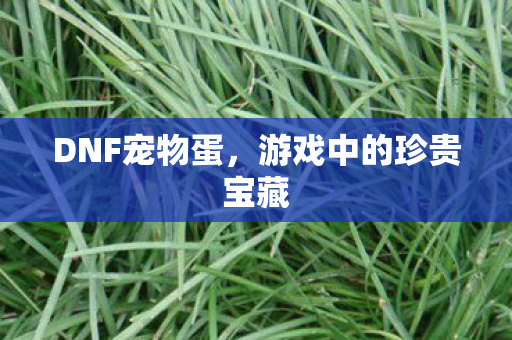 游戏中的珍贵宝藏图片