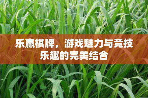 游戏魅力与竞技乐趣的完美结合图片