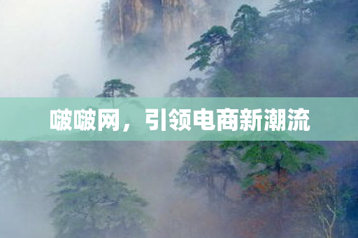 引领电商新潮流图片