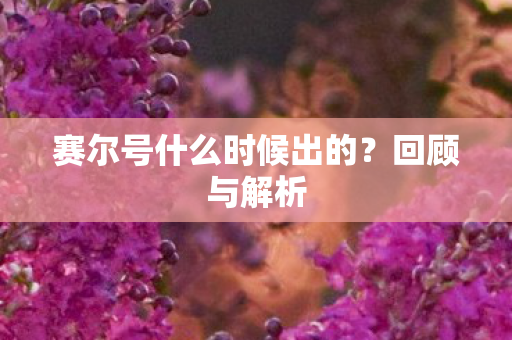 赛尔号什么时候出的图片