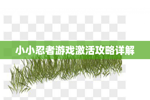 小小忍者游戏激活攻略详解图片