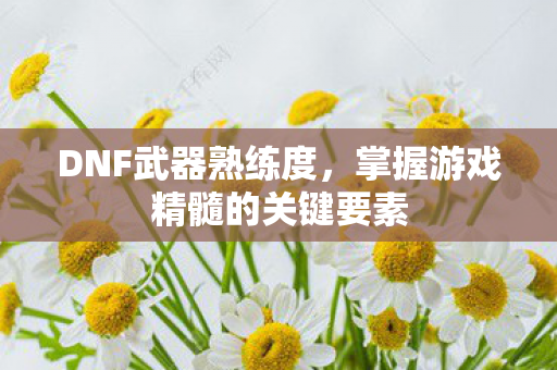 掌握游戏精髓的关键要素图片