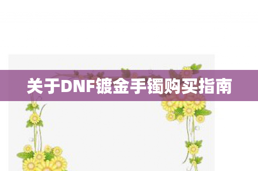 关于DNF镀金手镯购买指南图片