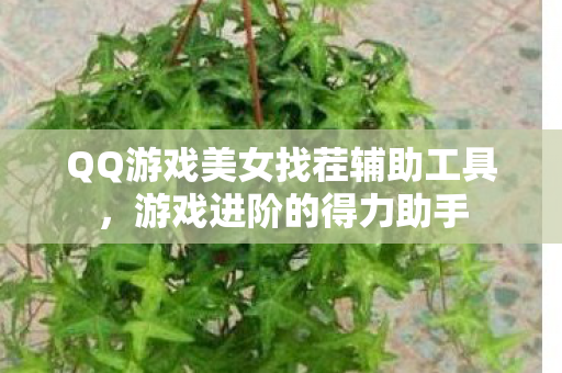 QQ游戏美女找茬辅助工具图片