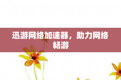 迅游网络加速器图片