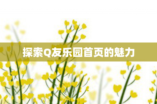 探索Q友乐园首页的魅力图片