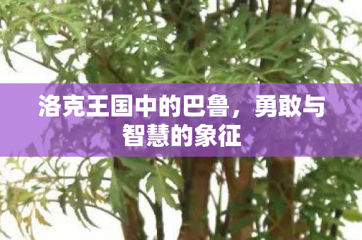 洛克王国中的巴鲁图片