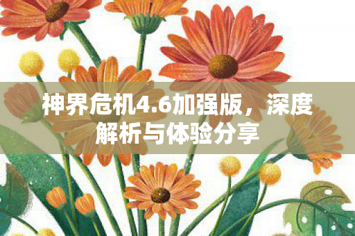 深度解析与体验分享图片