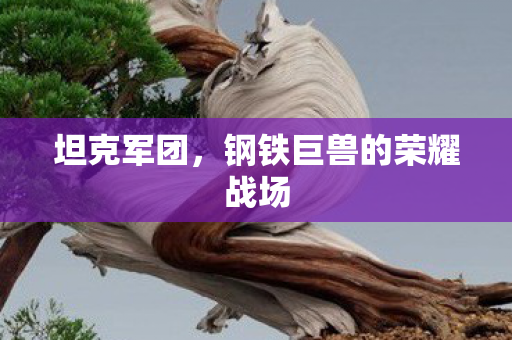 钢铁巨兽的荣耀战场图片
