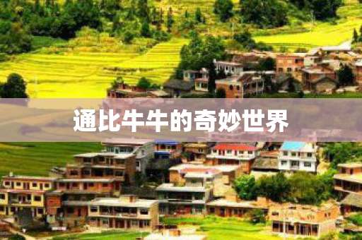 通比牛牛的奇妙世界图片