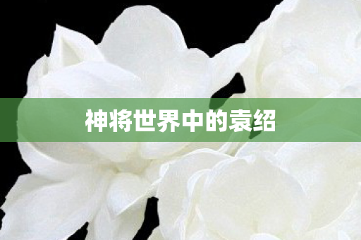 神将世界中的袁绍图片