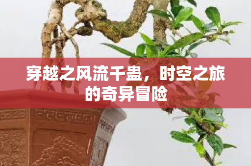 时空之旅的奇异冒险图片