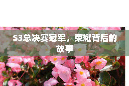 S3总决赛冠军图片