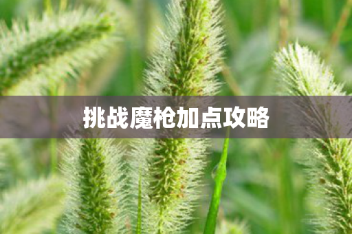 挑战魔枪加点攻略图片