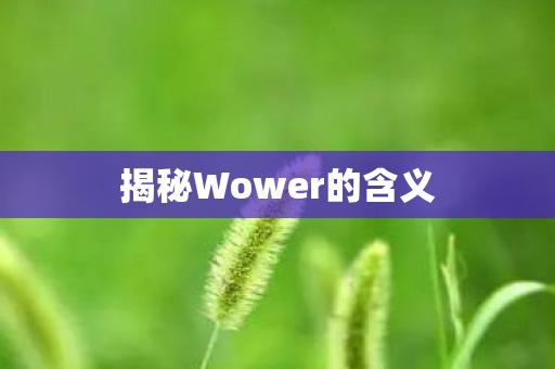 揭秘Wower的含义图片