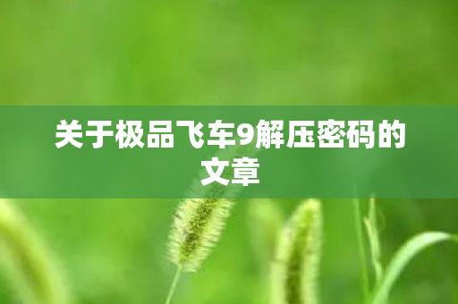 关于极品飞车9解压密码的文章图片