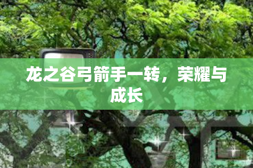 龙之谷弓箭手一转图片