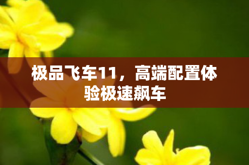 高端配置体验极速飙车图片