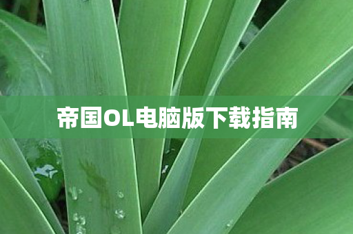 帝国OL电脑版下载指南图片