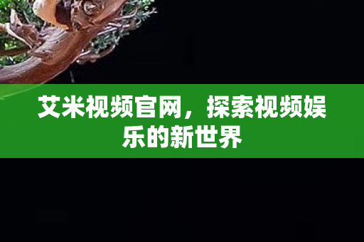 探索视频娱乐的新世界图片