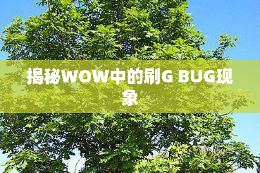 揭秘WOW中的刷G BUG现象图片
