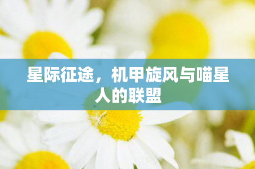 机甲旋风与喵星人的联盟图片