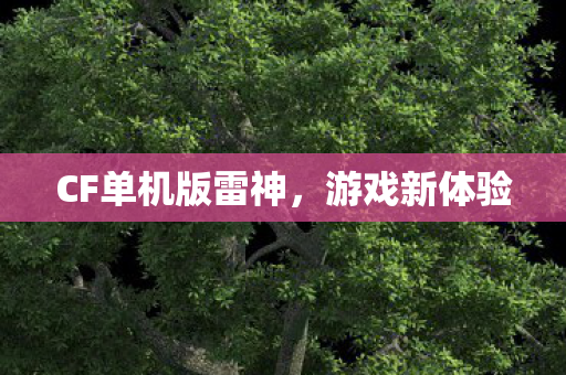 CF单机版雷神图片