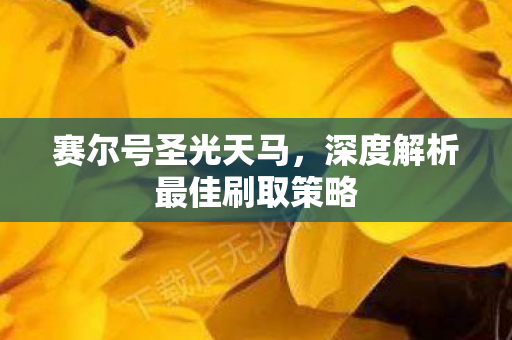 深度解析最佳刷取策略图片