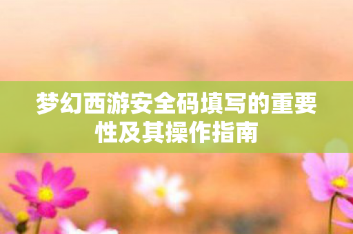 梦幻西游安全码填写的重要性及其操作指南图片