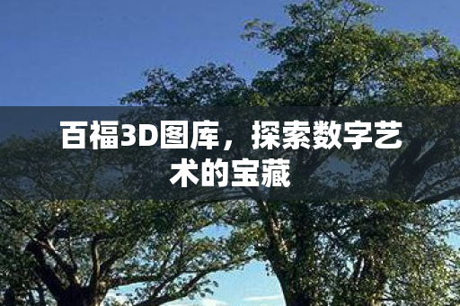 探索数字艺术的宝藏图片