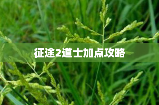 征途2道士加点攻略图片