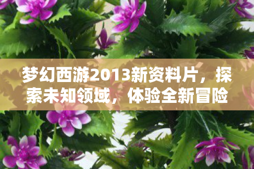 梦幻西游2013新资料片图片
