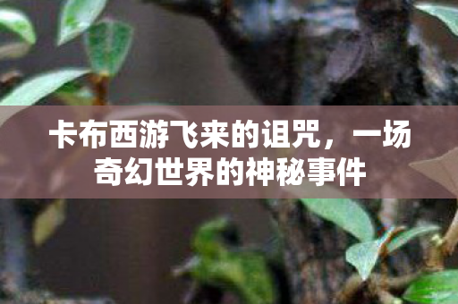 一场奇幻世界的神秘事件图片