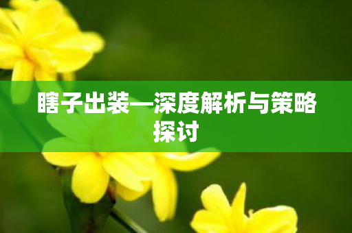 深度解析与策略探讨图片