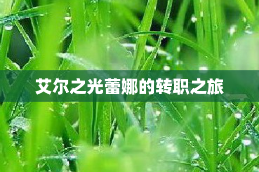 艾尔之光蕾娜的转职之旅图片