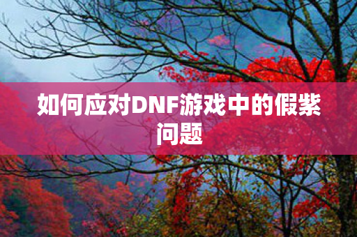 如何应对DNF游戏中的假紫问题图片