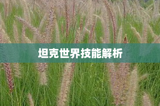 坦克世界技能解析图片