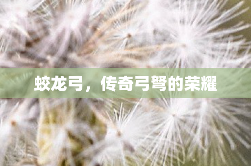 传奇弓弩的荣耀图片