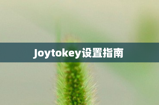 Joytokey设置指南图片