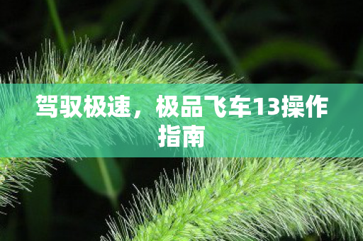 极品飞车13操作指南图片