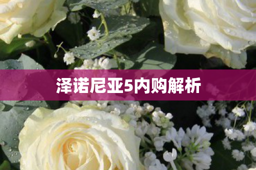 泽诺尼亚5内购解析图片