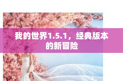 经典版本的新冒险图片