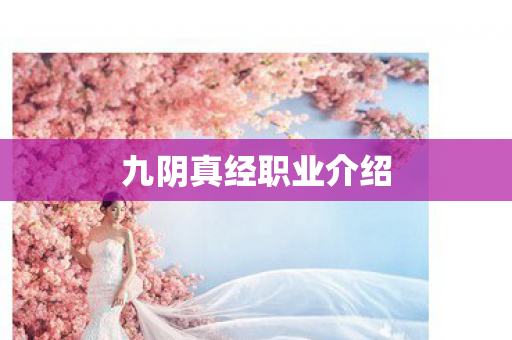 九阴真经职业介绍图片