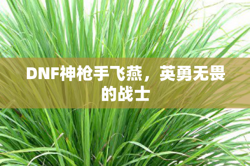 DNF神枪手飞燕图片