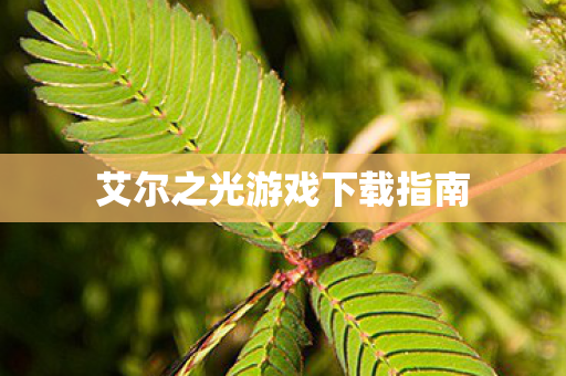 艾尔之光游戏下载指南图片
