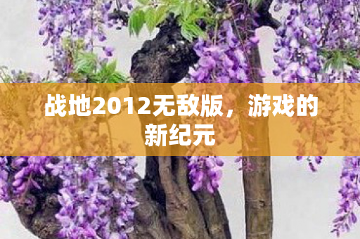战地2012无敌版图片