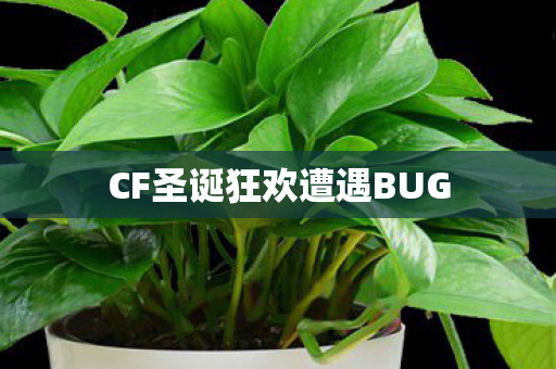 CF圣诞狂欢遭遇BUG图片