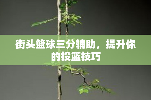 街头篮球三分辅助图片