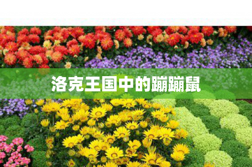 洛克王国中的蹦蹦鼠图片