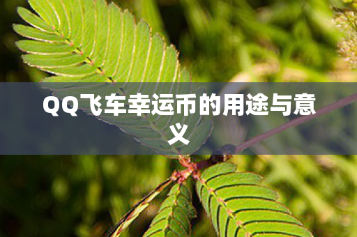 QQ飞车幸运币的用途与意义图片
